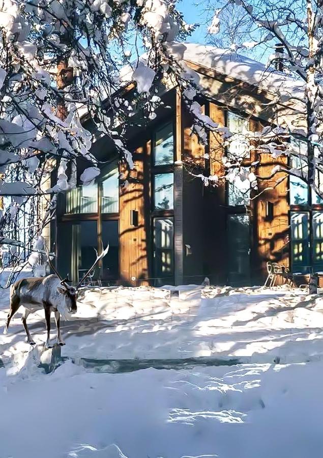 Nova Skyland Hotel in Finland Lapland huisje in de sneeuw.